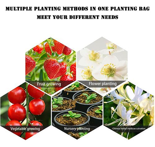 Macetero Colgante Para Fresas Y Tomates Al Revés