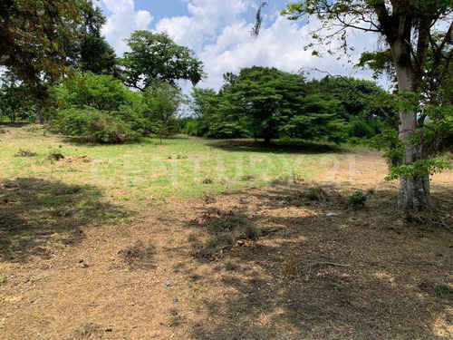 Terreno En Venta En Coatepec, Veracruz