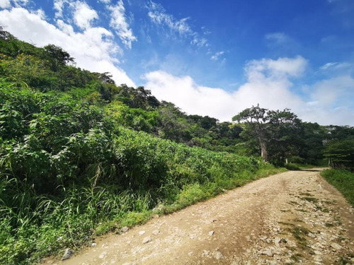 Imagen 6 de 7 de Terreno En Venta Linda Vista Shanka