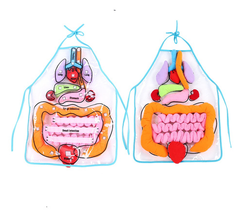 Delantal Educativo Viscera Para Niños, Utensilio Didáctico P