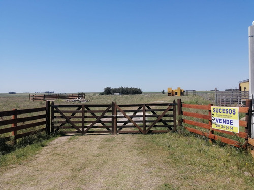 Imagen 2 de 14 de Chacra A La Venta - Ruta 7 Km 69 Los Arenales - Hermosa Chacra De 3 Has Con Casa A Estrenar