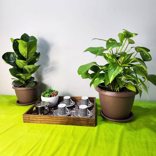 Vaso Redondo Siena Para Plantas E Flores 25cm De Plástico Cor Bege