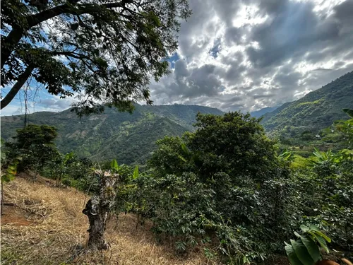 Se Vende Finca En Barragán