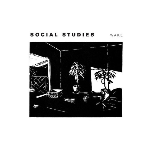 Social Studies Wake Usa Import Lp Vinilo