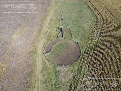 Imagen 11 de 25 de Campo De 705 Has En Venta En Necochea - Mixto Con Casco - 70 % Agricola.