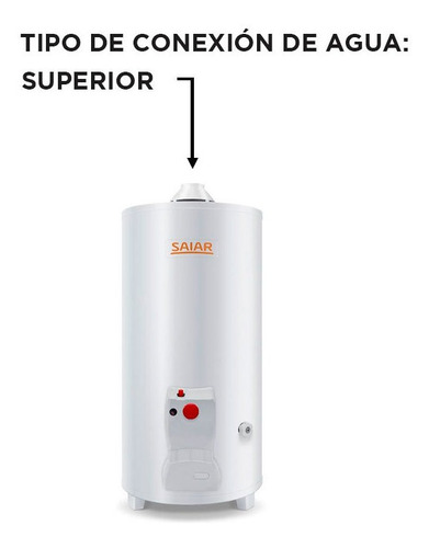 Termotanque A Gas De Pie Saiar By Rheem Tpg050msa 50 Litros