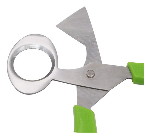 Cortador De Huevos De Codorniz Acero Inoxidable, 12 Piezas