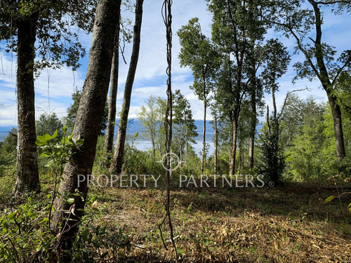 Terreno Ribera Norte Lago Villarrica