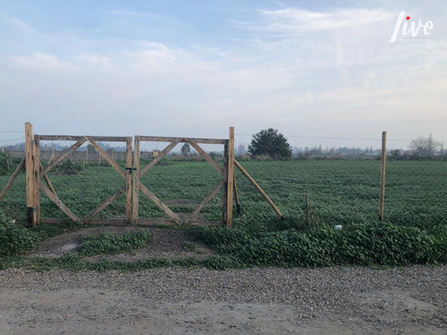Vendo Sitio En Santa Eliana Chicureo