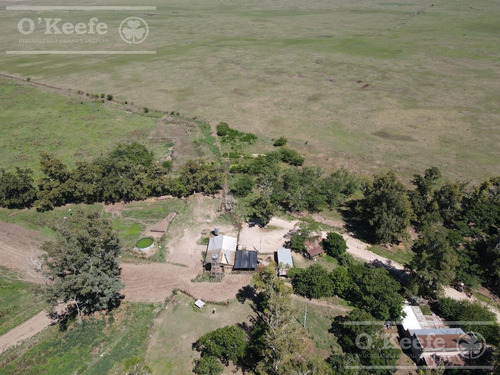 Campo Mixto En Venta De 228 Has Sobre Ruta 29 -en Brandsen