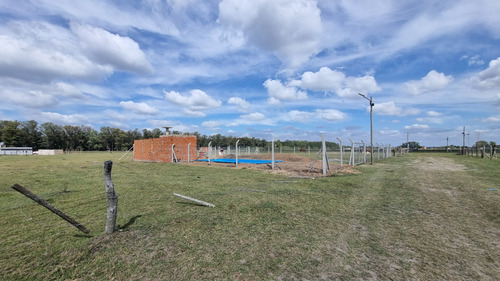 Terreno En Venta En Domselaar. Oportunidad