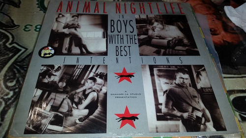 Animal Nightlife Boys With The Best Intentions Vinilo Maxi 