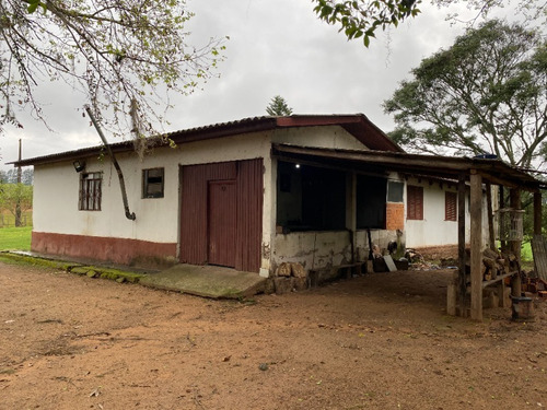 Chácara 19.000 M² - Santa Cruz - Gravataí - Rs - 2447 - 68463646