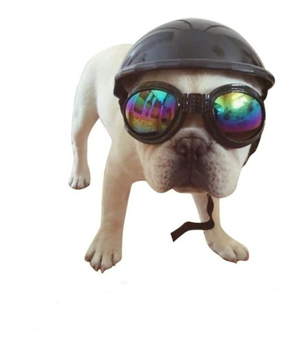 Casco De Motocicleta Para Perros, Raza Mini O Cachorros