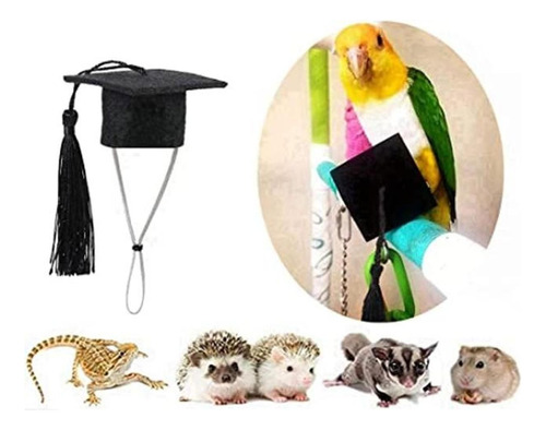 Pequeñas Gorras De Graduación De Animales Pequeños Con