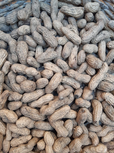 Semillas De Cacahuate Para Sembrar Cont. 1 Kg