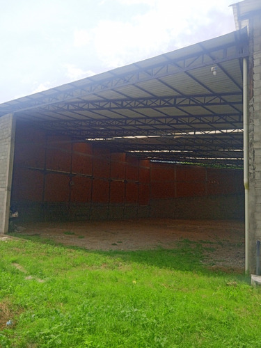 Imagen 5 de 17 de En Venta Galpones Con Apartamentos