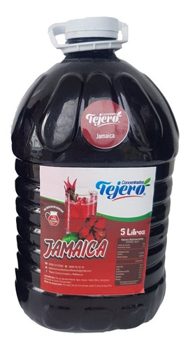 Jarabe Concentrado Tejero Galón De 5 Litros 1 Pieza Sabores
