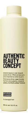 Limpador De Reabastecimento De Conceito De Beleza AutĂȘntica