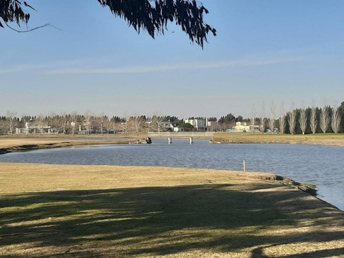 Imagen 11 de 13 de Lote Interno En Haras Del Sur 2
