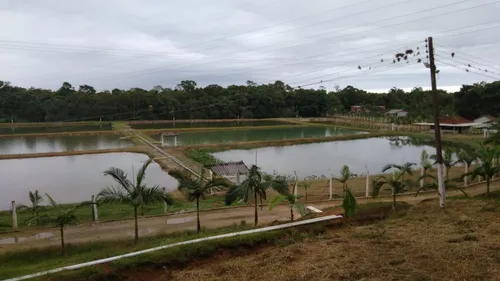 Fazenda De Piscicultura