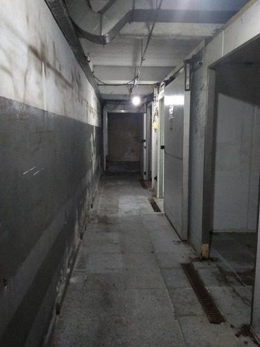 Imagen 6 de 15 de Super Local Ex Casa Tia. 1450 M2 En Pb. Frente A La Estacion De Quilmes.
