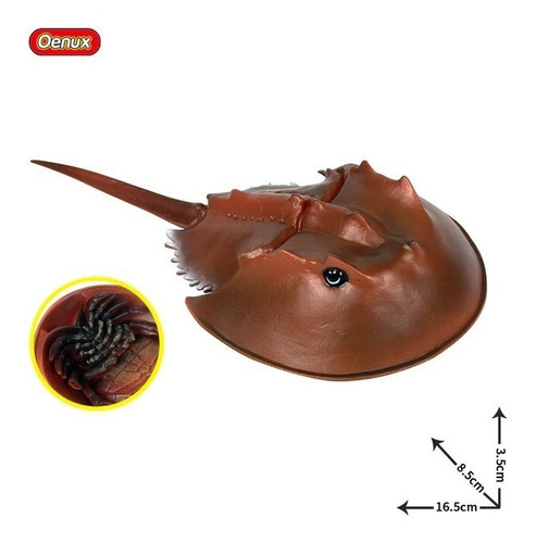 Animales Marinos. Trilobite. 16.5 Cms. Mar Oceano Peces.