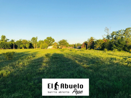 Vendo Terreno En Luis Palacios 550m2