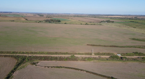 Campo Agricola De 21.5 Has En Corrales (antelo)