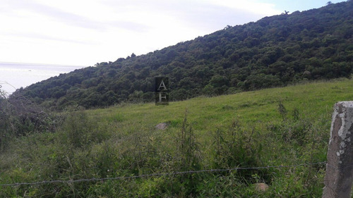 Imagem 3 de 6 de Terreno Lote Para Venda Em Praia Da Vigia Garopaba-sc - Tv749