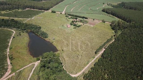 Imagem 19 de 20 de Sítio Com 3 Dormitórios À Venda, 109000 M² Por R$ 1.350.000,00 - Alto Da Serra - São Pedro/sp - Si0003