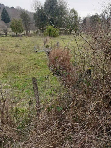 Pucon Y Caburgua Exclusivas Parcelas En (83774)