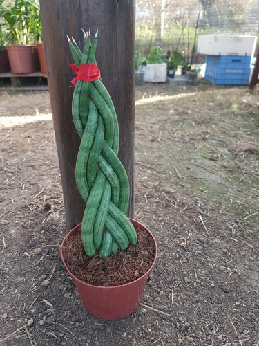 Espada De San Jorge