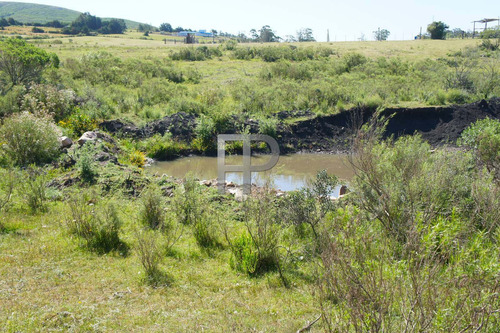 Imagen 4 de 5 de Campo En Venta Piriápolis 5 Hectáreas
