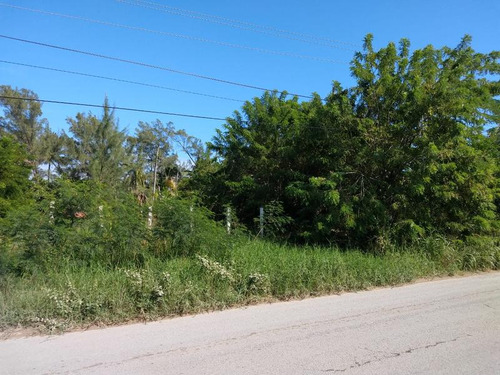 Venta Terreno 520 M² Carretera Termoelectrica Playa Tuxpan Veracruz