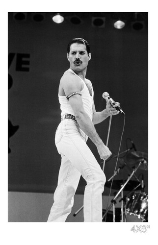 Poster Quadro Painel Freddie Mercury Vintage Retro Cult