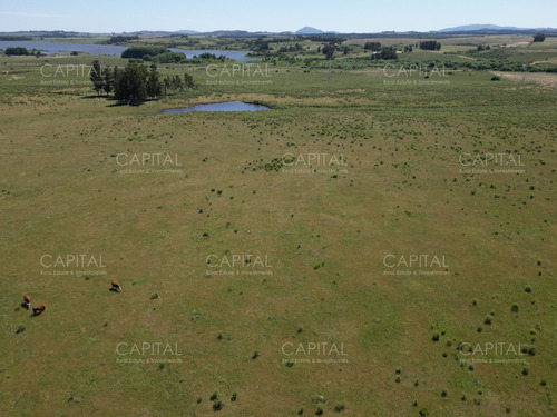 Espectacular Campo De 124 Has . Laguna Del Sauce