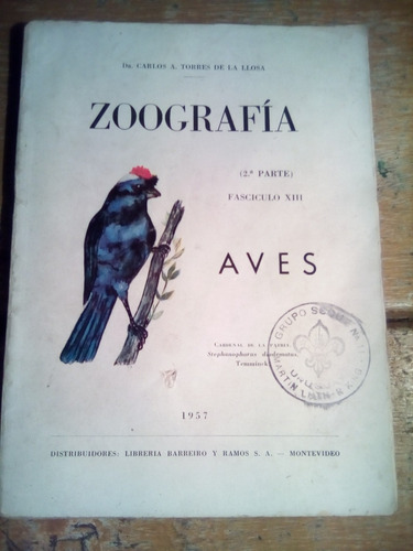 Torres De La Llosa, Zoografia, Aves 1957