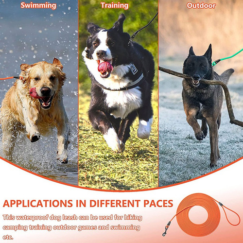 3m Cuerda Para Perros Para Entrenar Caminar Y Playa