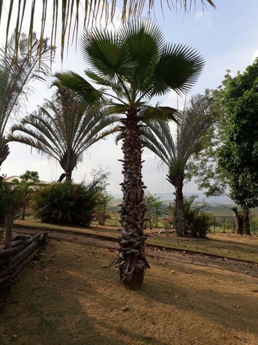 Imagem 3 de 30 de Chácara À Venda, 5040 M² Por R$ 600.000,00 - Estância Prainha - Águas De São Pedro/sp - Ch0120