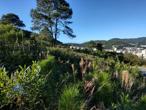 Imagem 11 de 19 de Terreno À Venda, 450 M² Por R$ 787.000,00 - Itacorubi - Florianópolis/sc - Te0280