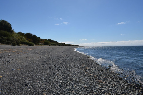 Imagen 8 de 16 de Se Venden Parcelas Con Orilla De Playa En Chiloé