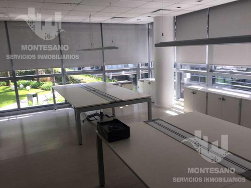 Imagen 12 de 21 de Alquiler Oficina En Puerto Maderoalquiler Oficina En Puerto