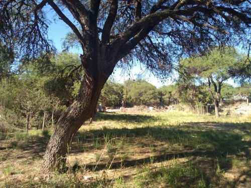 Terrenos O Lotes Venta San Lorenzo