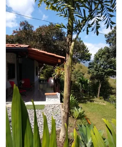 Finca En Venta Proindiviso Copacabana Vereda El Llano