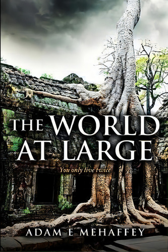 The World At Large : You Only Live Twice, De Adam Mehaffey. Editorial R. R. Bowker, Tapa Blanda En Inglés