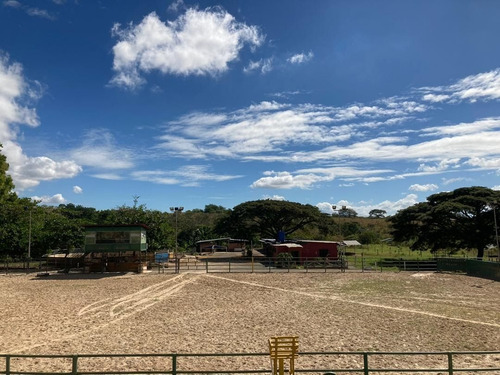Imagen 4 de 10 de Finca Cojedes Tinaquillo Sector Banco Bonito C1747