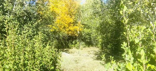 Se Venden Lotes Desde 5000mts2,yungay (68483)