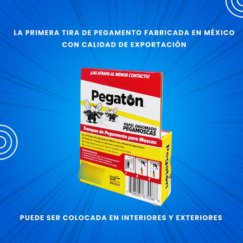 Atrapamoscas Sin Veneno Para Moscas Atrapamoscas 5 Piezas