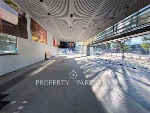 Local Comercial Showroom Con Más De 50 Metros Li...